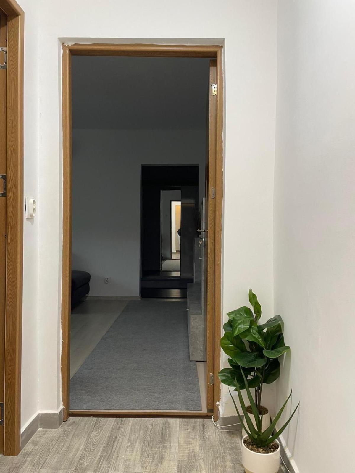 Apartament Inu Orşova 外观 照片